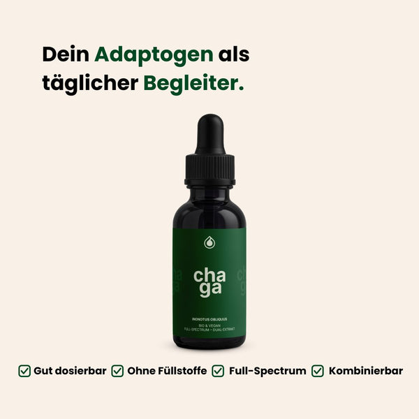 Chaga