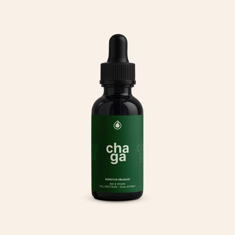 Chaga