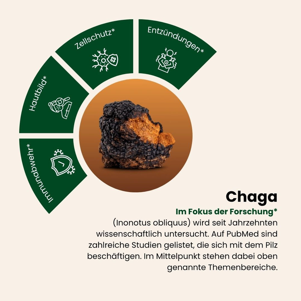 Chaga