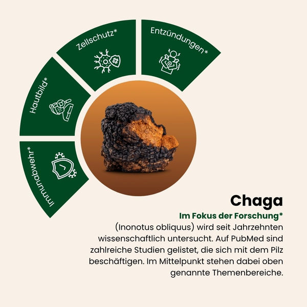 Chaga