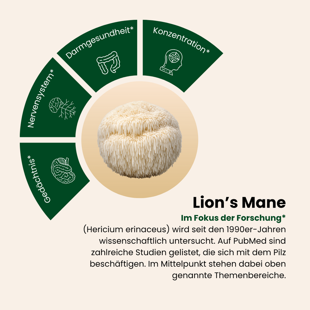 Lion's Mane