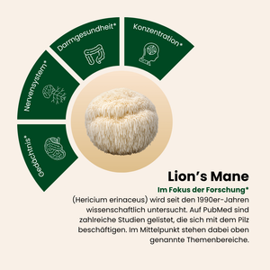 Lion's Mane