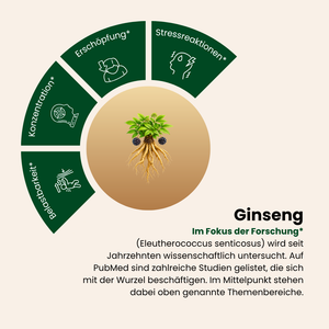 Siberian Ginseng