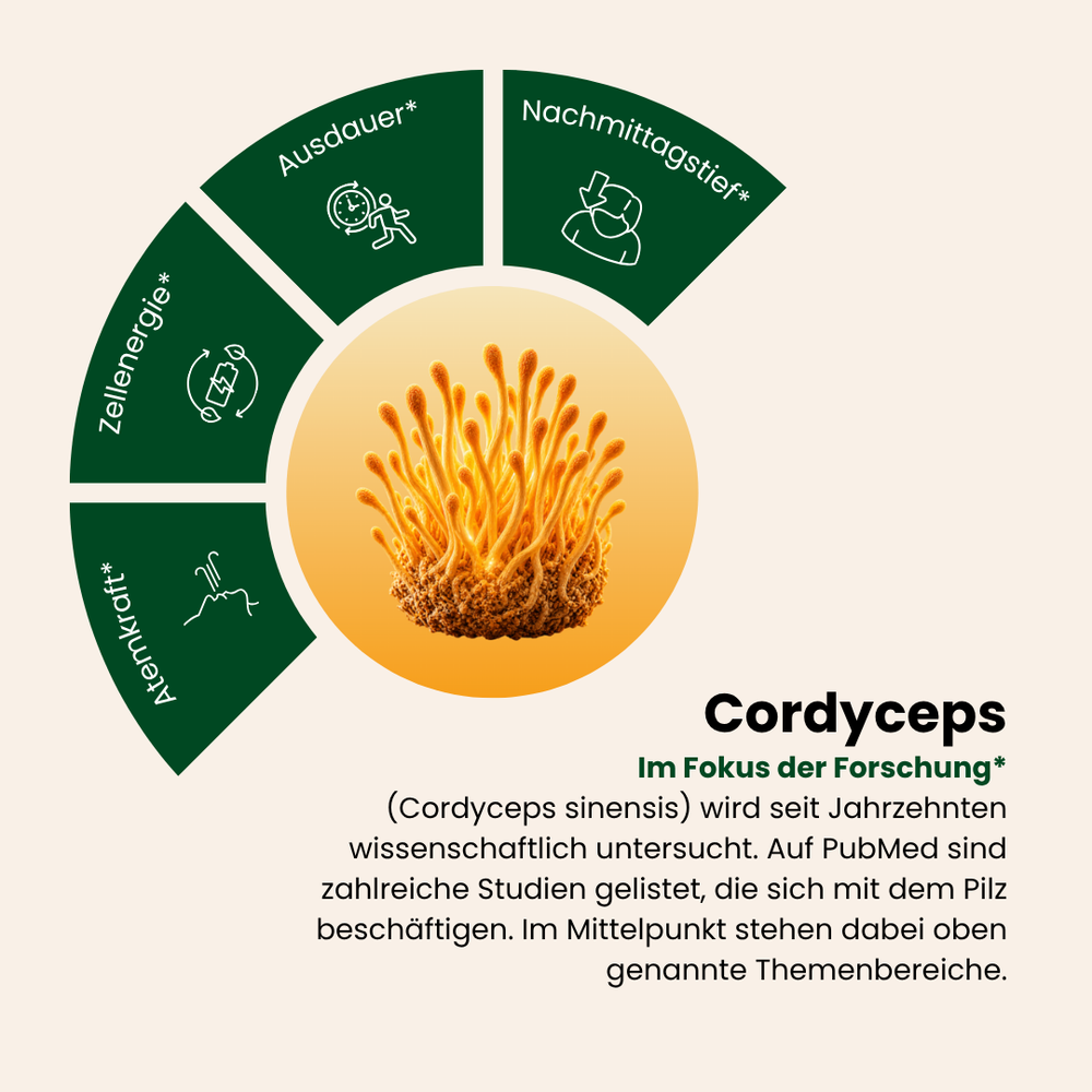 Cordyceps