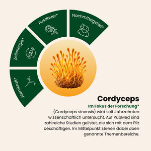 Cordyceps